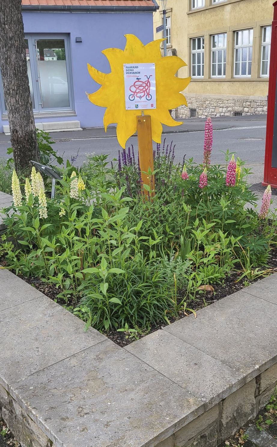 Ansicht nachher (Bild: Tatjana Fischer-Hock)