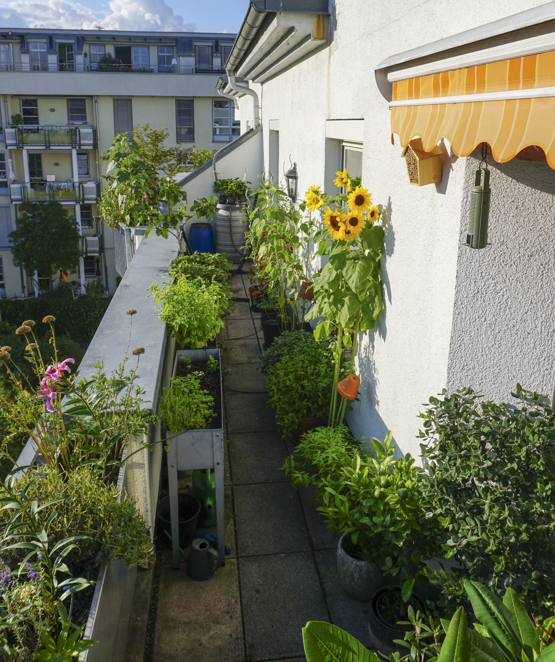 Ansicht nachher (Bild: Christian Thurn)