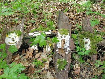 Foto: BN-Ortsgruppe Margetshöchheim