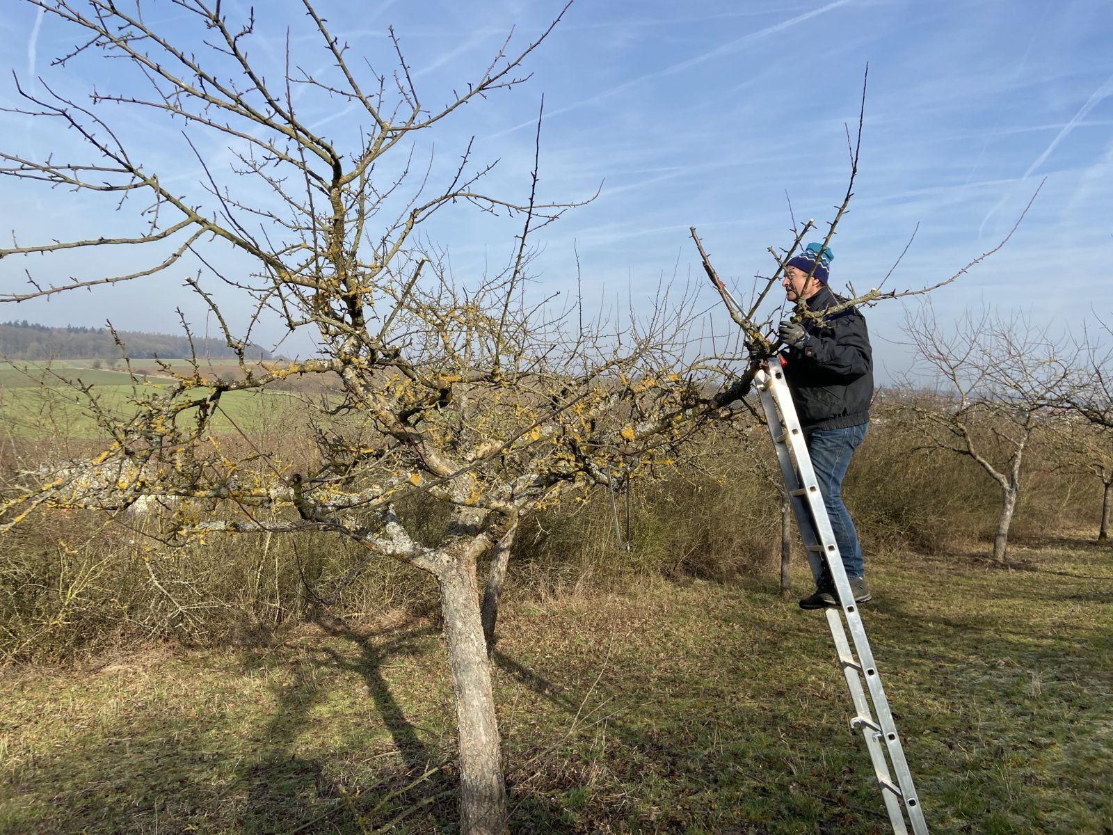 Foto: BN-Ortsgruppe Kleinrinderfeld