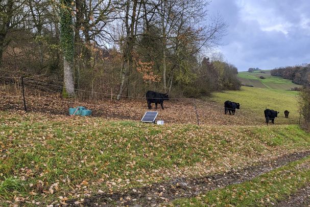 Landschaftspfelege: Foto: Burkard Helfrich