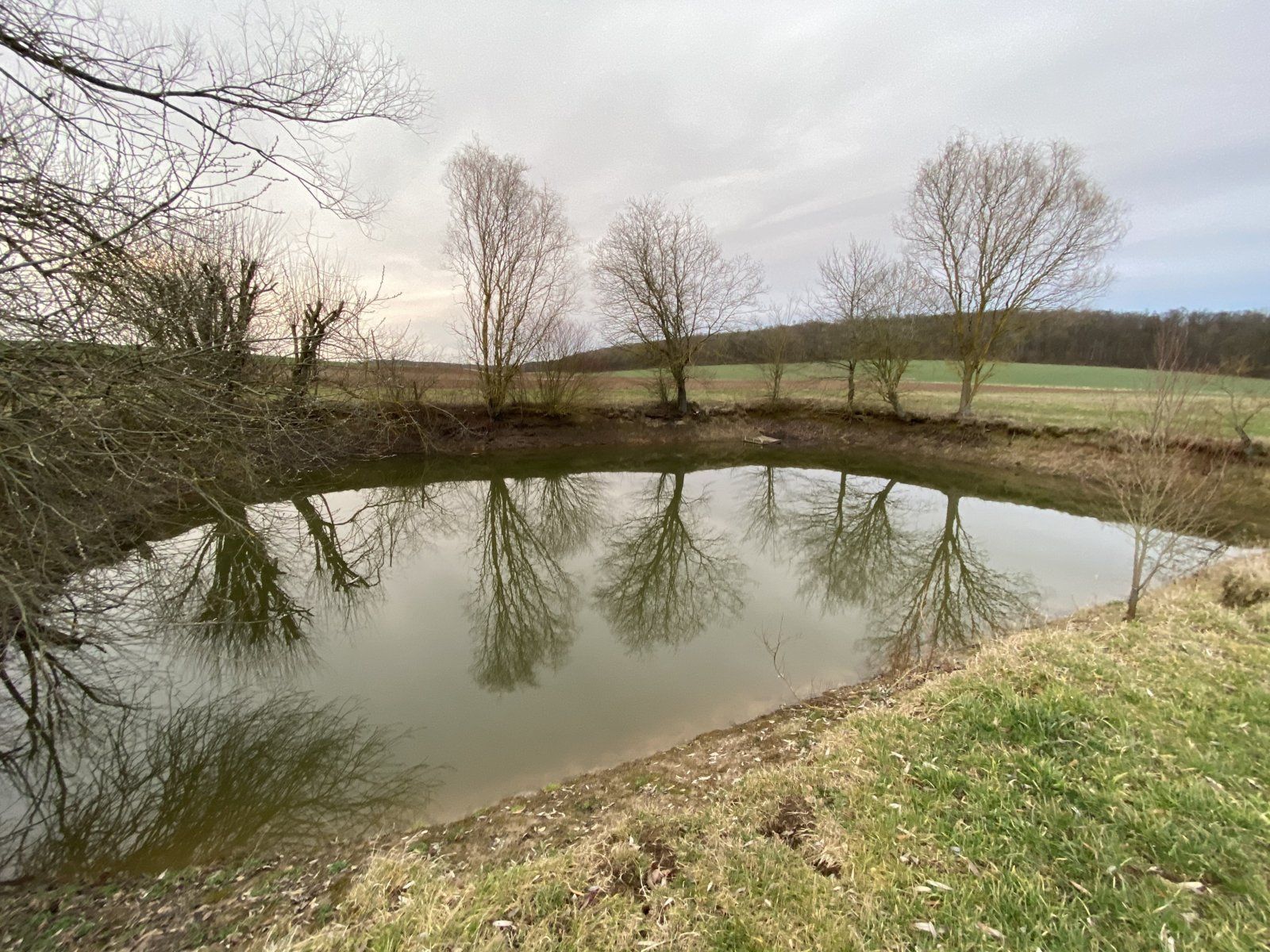 Foto: BN-Ortsgruppe Kleinrinderfeld