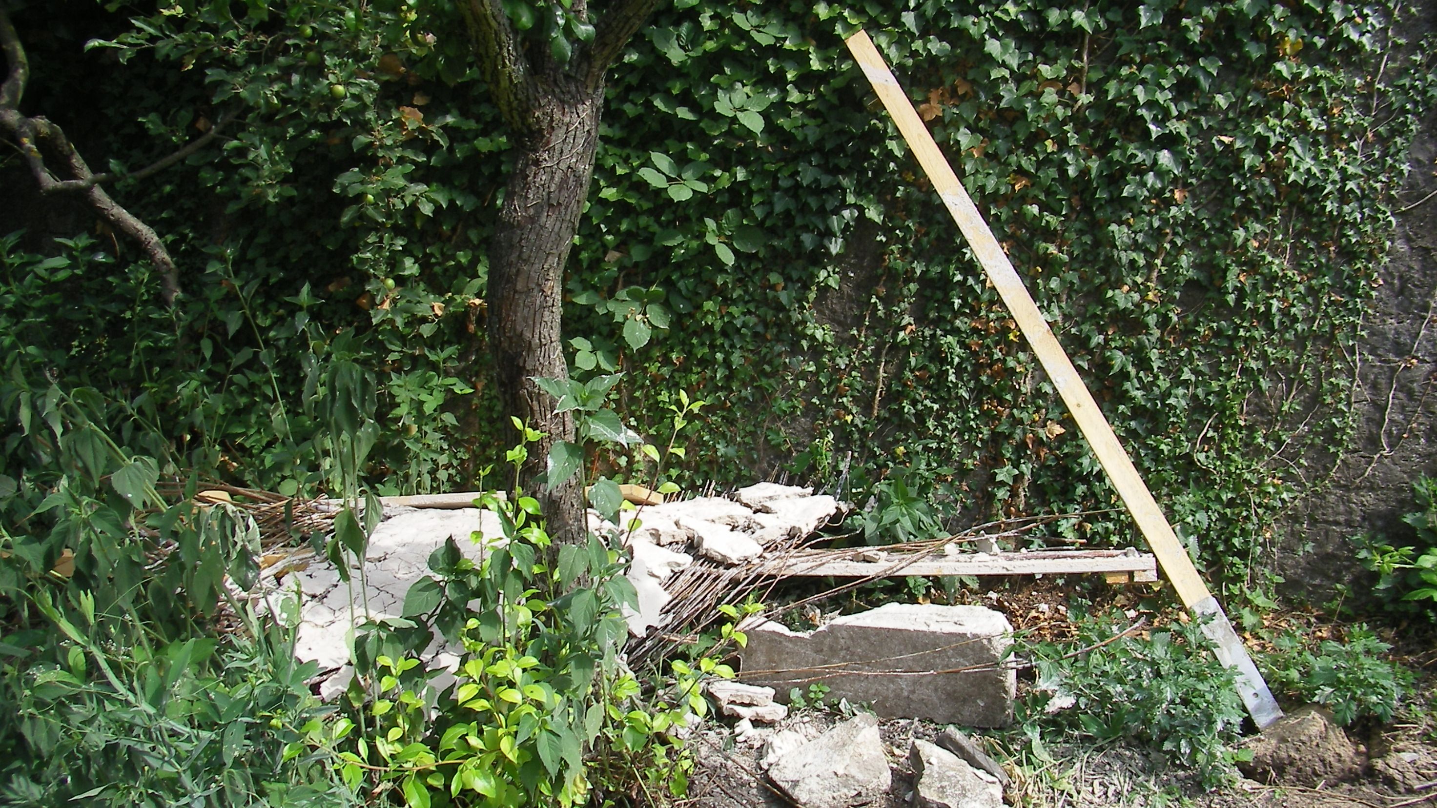 Foto: BUND Würzburg