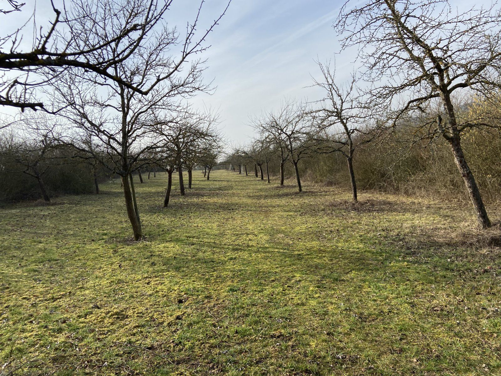 Foto: BN-Ortsgruppe Kleinrinderfeld