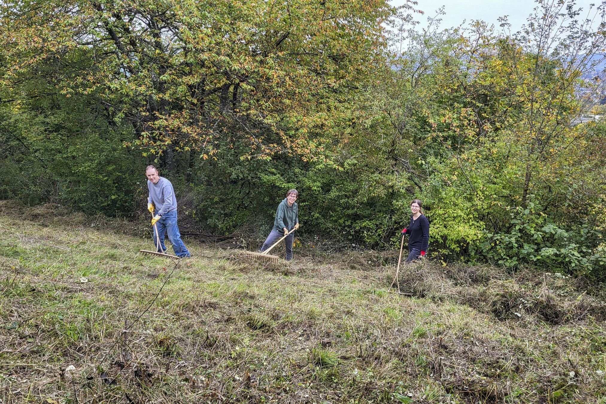 Landschaftspflege in Heidingsfeld (Bild: Burkhard Helfrich) Landschaftspflege in Heidingsfeld (Bild: Burkhard Helfrich)