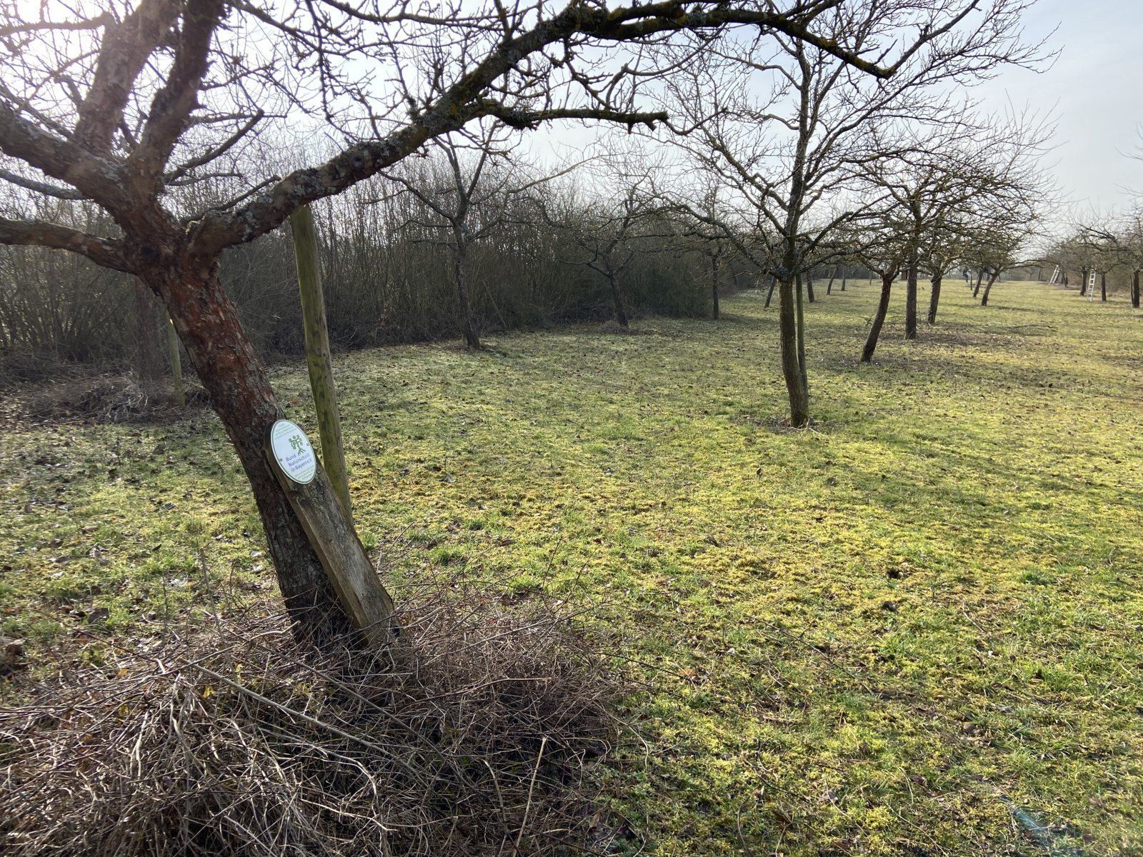 Foto: BN-Ortsgruppe Kleinrinderfeld