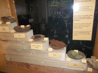 Gewürze im Botanischen Garten