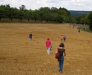 Foto: BN-Ortsgruppe Margetshöchheim