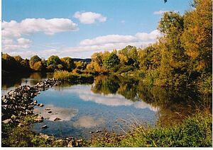 Main bei Eibelstadt | Foto: BUND Würzburg
