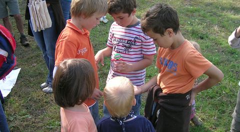 Unsere Kinder Und Jugendgruppen Bund Naturschutz In Bayern E V