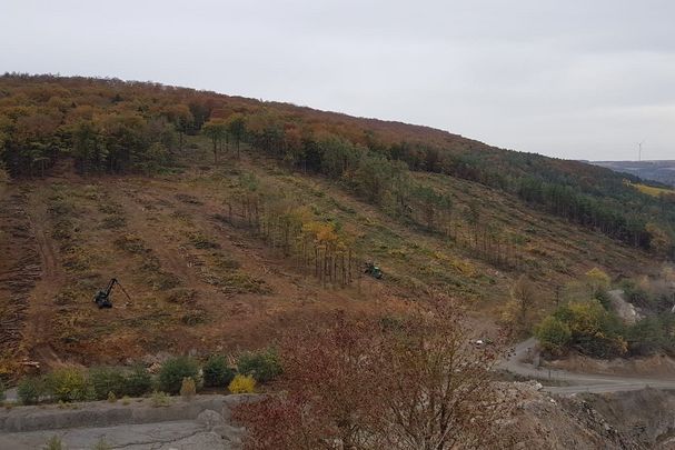 Foto: BUND Würzburg