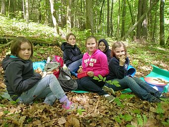 Baumgesichter | Foto: BN-Ortsgruppe Margetshöchheim