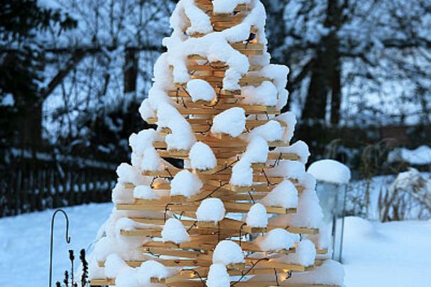 Alternativer Weihnachtsbaum; Foto: Johannes Selmansberger