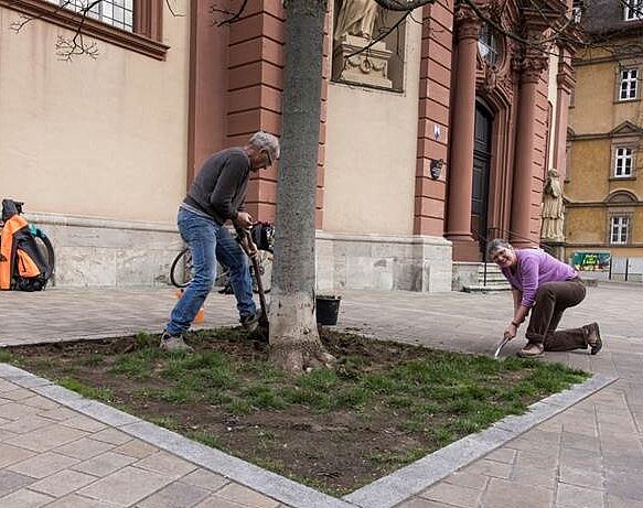 Vorbereitung der Baumscheibe am Peterplatz für die Bepflanzung, 22.03.2023