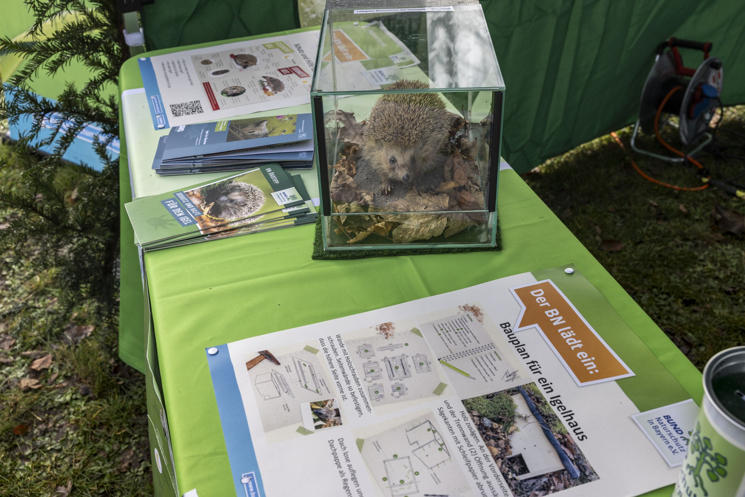 BN-Stand am Weihnachtsmarkt Natur 8. 12. 2024
