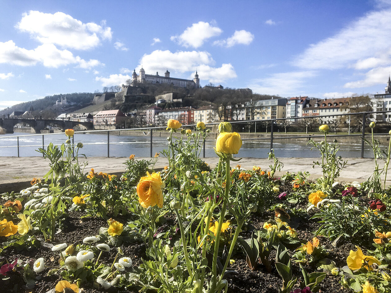 Frühling am Main mit der Festung im Hintergrund