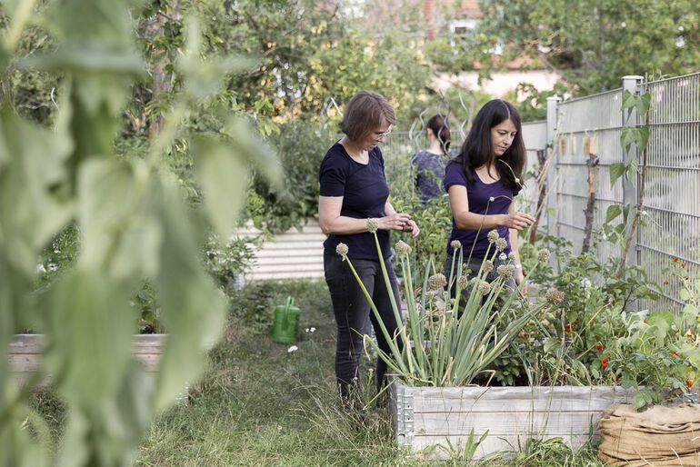 Gemeinschaftsgarten (Bild: Katrin Königl)