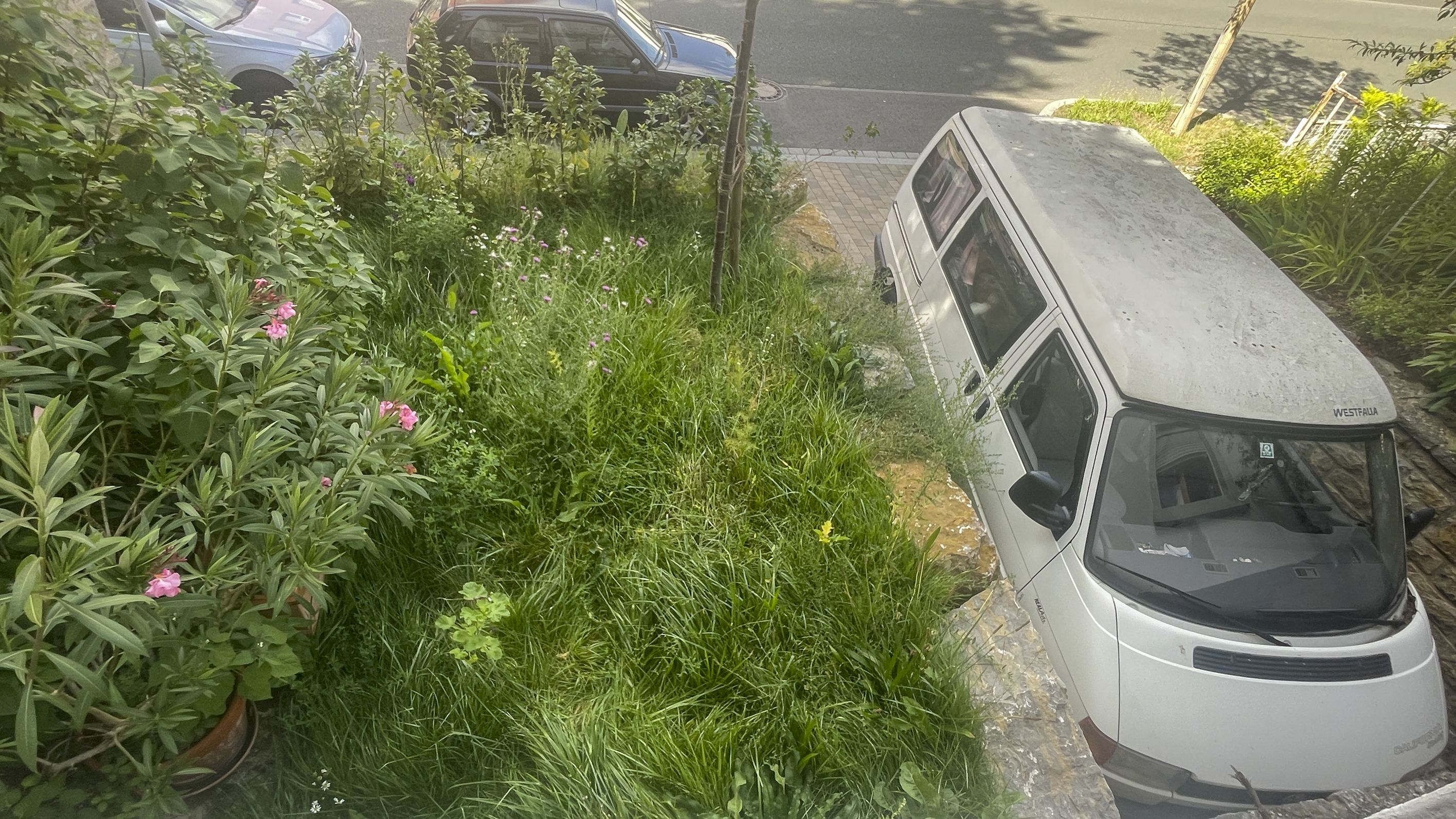 Ansicht nachher (Bild: Eva Wenzlik)