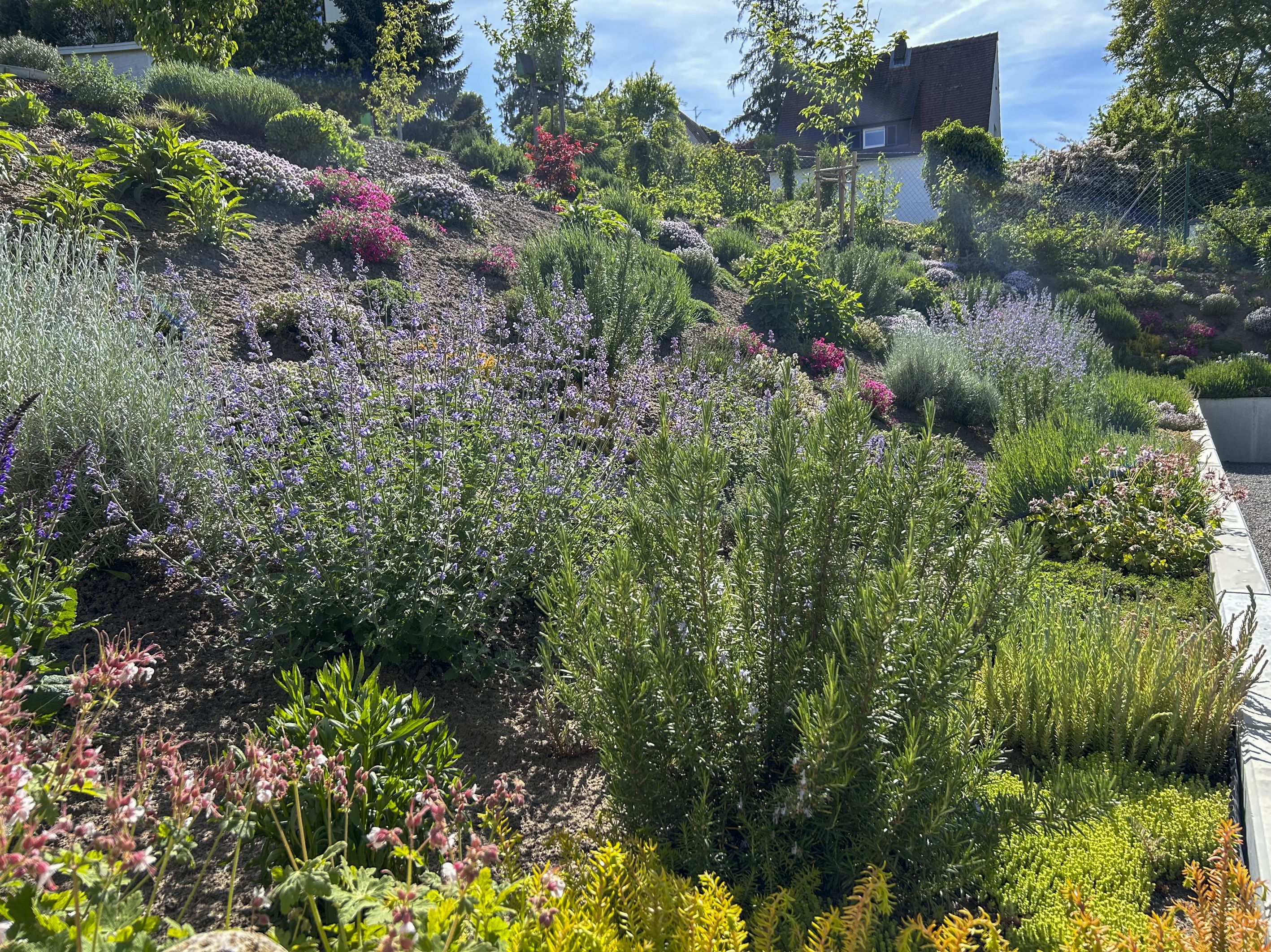 Ansicht nachher (Bild: Melanie Rösch)