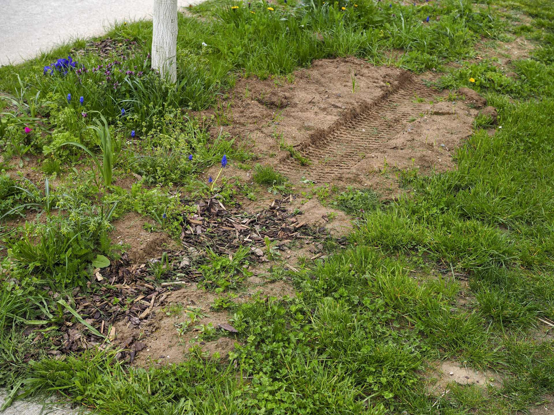 Ansicht vorher (Bild: Johannes Schauer)