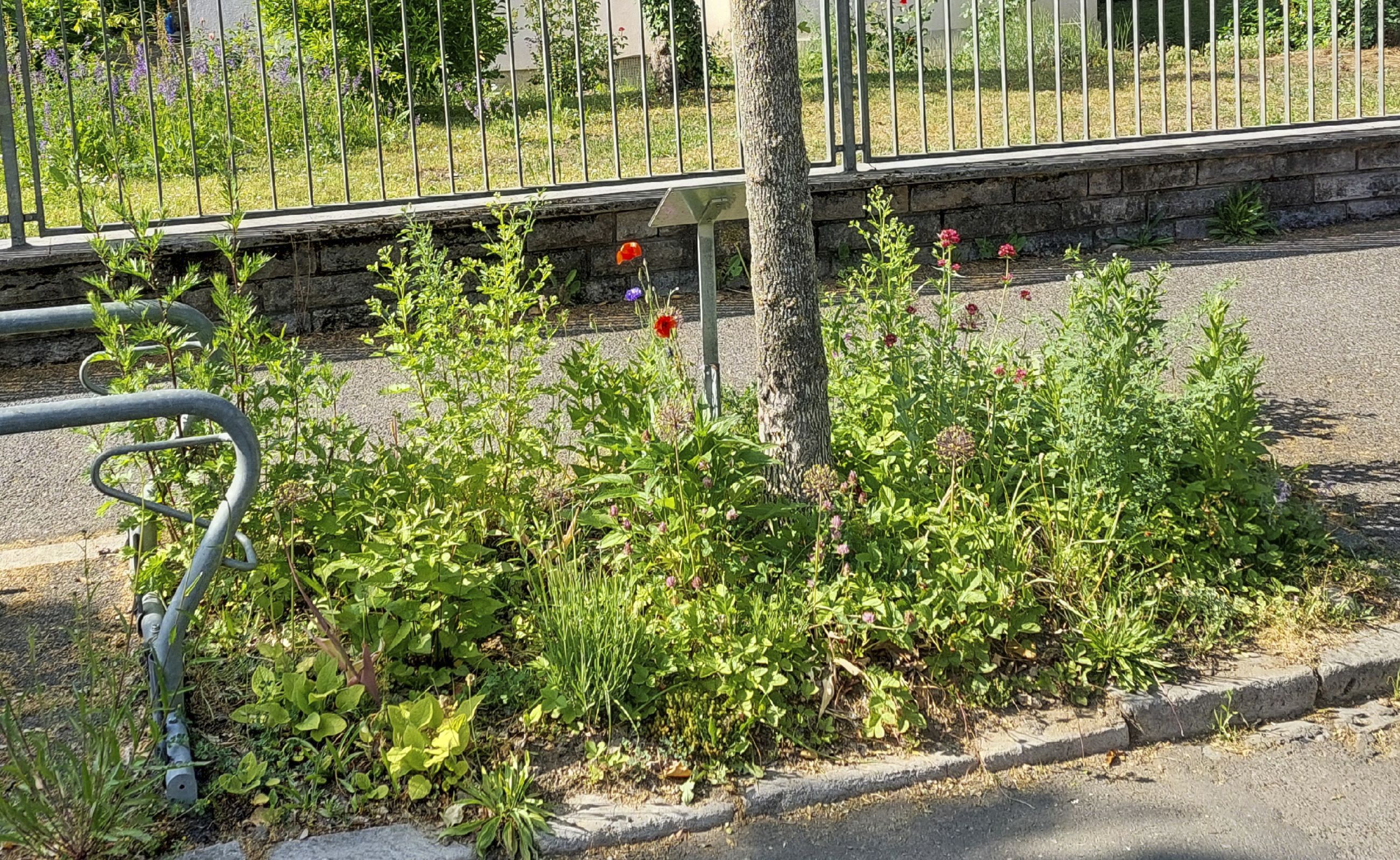 Ansicht nachher (Bild: Nadja von Groll)