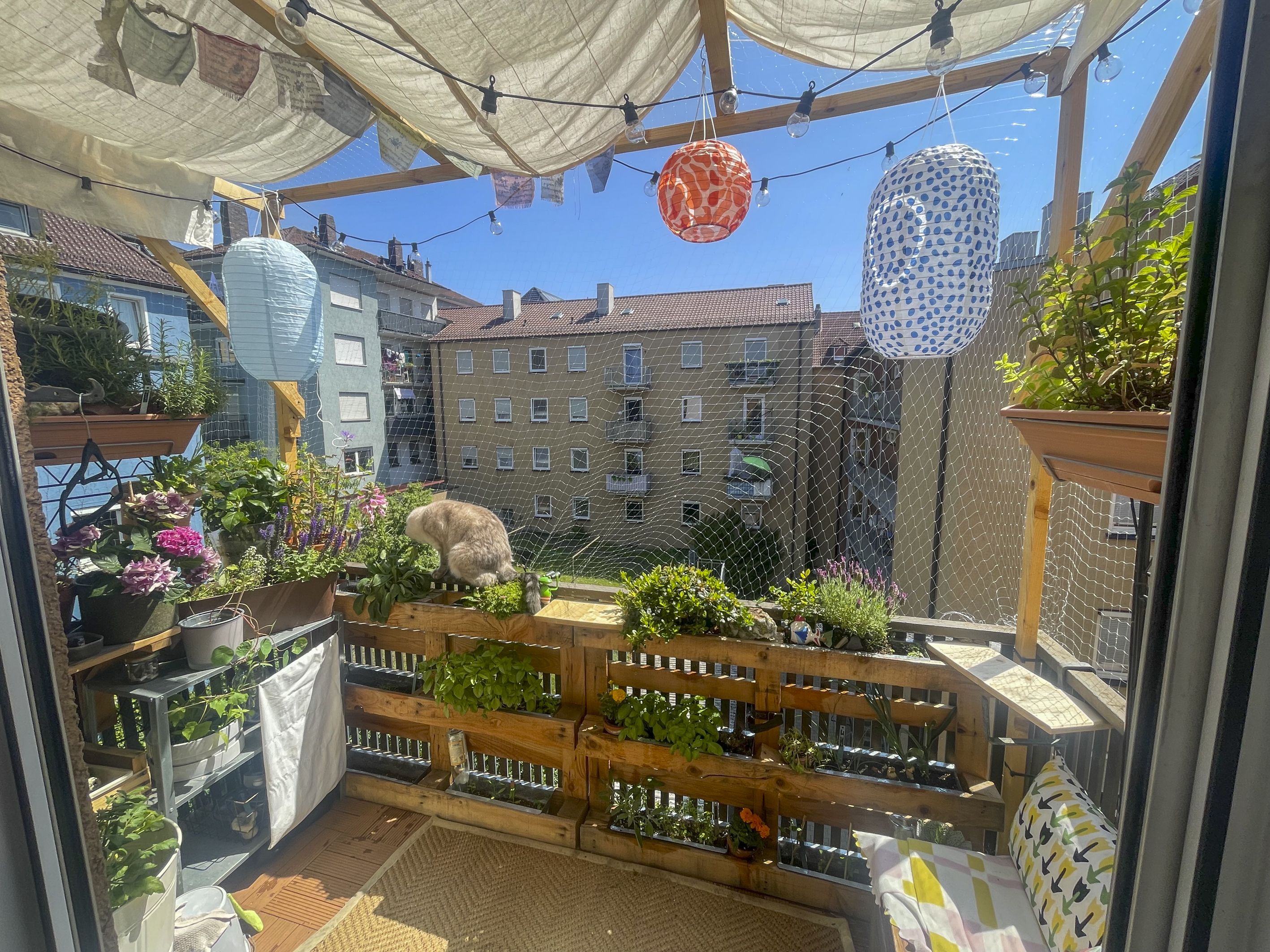 Ansicht nachher (Bild: Hannah Glückler)