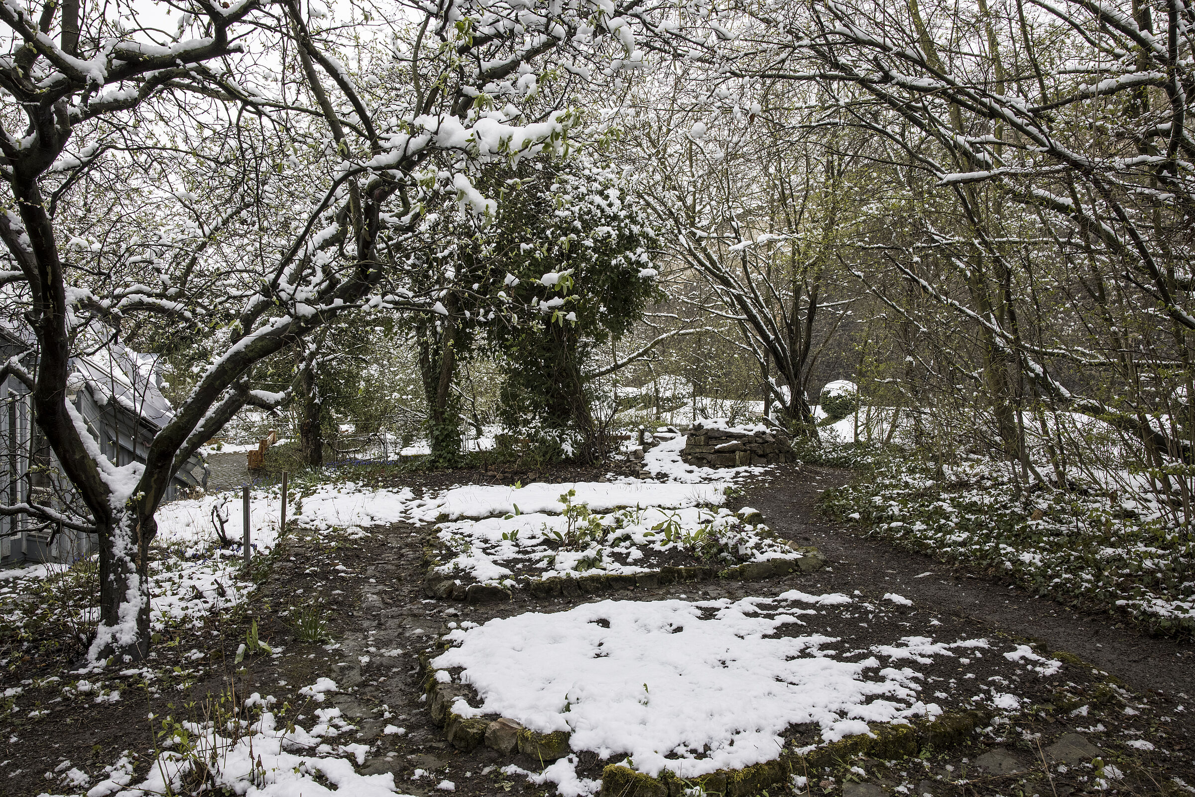 Die Schattenbeete oben am Ökohaus im Schnee April 2022