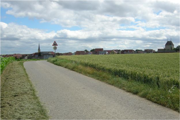 Foto: BN-Ortsgruppe Kürnach/Estenfeld/Prosselsheim