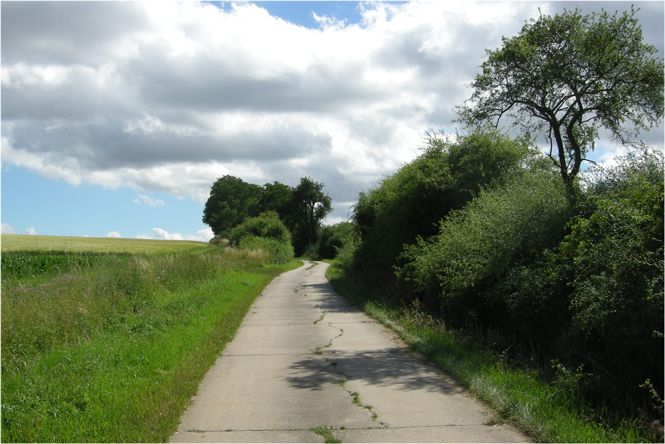 Foto: BN-Ortsgruppe Kürnach/Estenfeld/Prosselsheim
