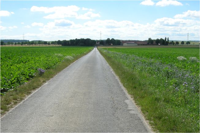 Foto: BN-Ortsgruppe Kürnach/Estenfeld/Prosselsheim