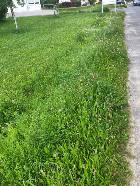 Foto: BN-Ortsgruppe Kürnach/Estenfeld/Prosselsheim