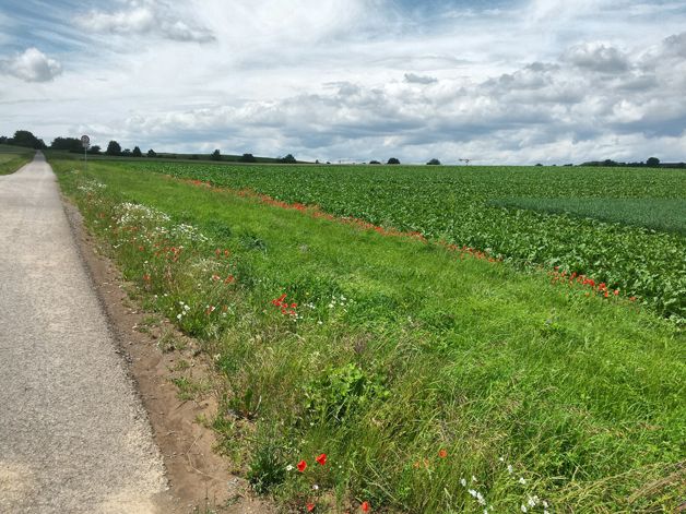 Foto: BN-Ortsgruppe Kürnach/Estenfeld/Prosselsheim