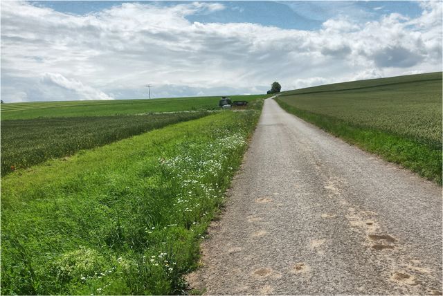 Foto: BN-Ortsgruppe Kürnach/Estenfeld/Prosselsheim
