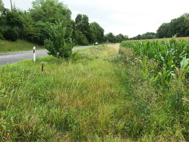 Foto: BN-Ortsgruppe Kürnach/Estenfeld/Prosselsheim