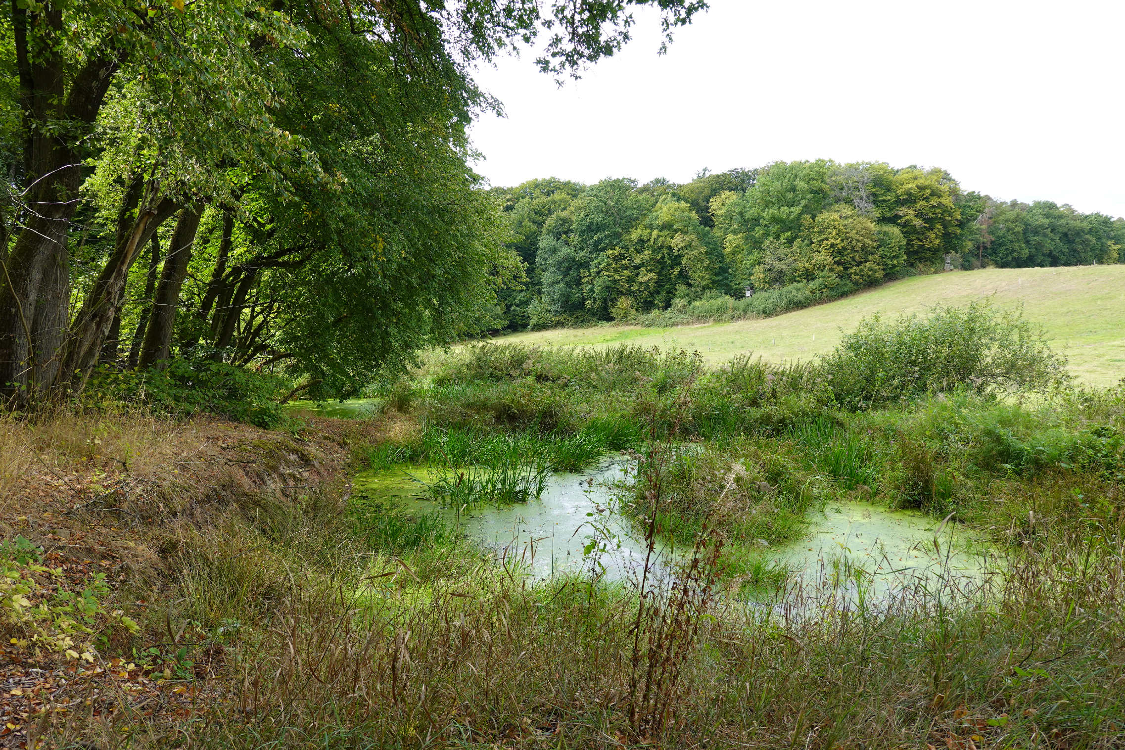 Foto: Gerhard von Hinten