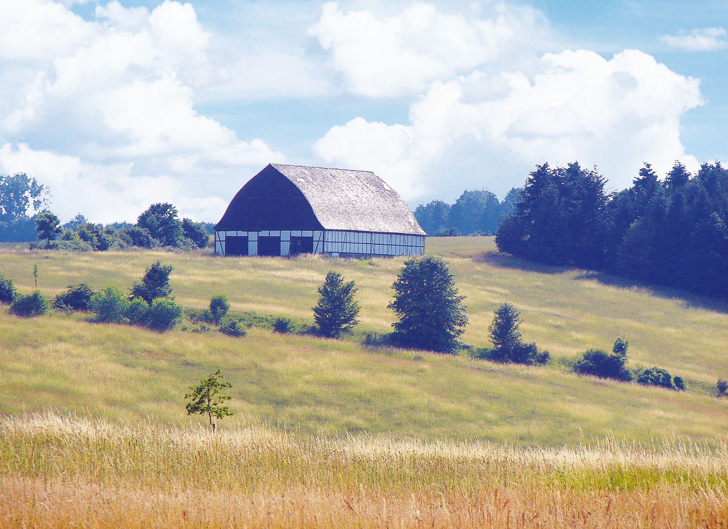Die Feldscheune im ökologischen Wasserschutzgebiet Zell. Foto: Winfried Popp Die Feldscheune im ökologischen Wasserschutzgebiet Zell. Foto: Winfried Popp