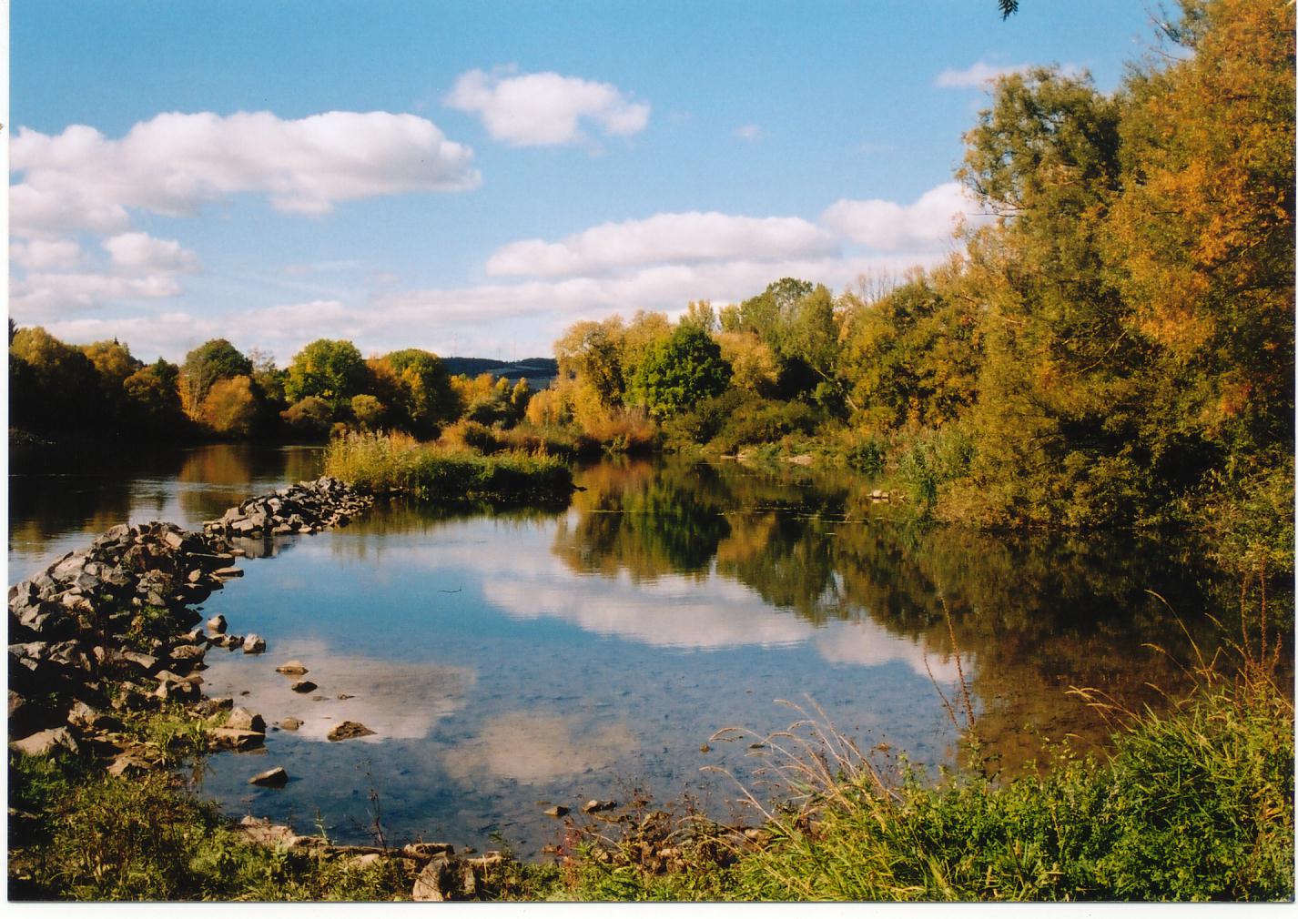 Main bei Eibelstadt | Foto: BUND Naturschutz